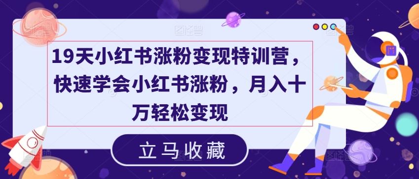 19天小红书涨粉变现特训营，快速学会小红书涨粉，月入十万轻松变现-中创项目网