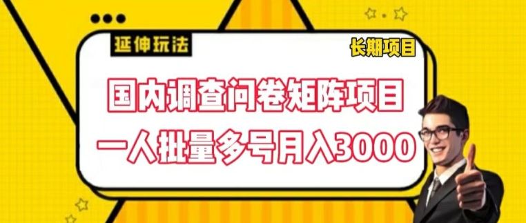 国内调查问卷矩阵项目，一人批量多号月入3000【揭秘】-中创项目网