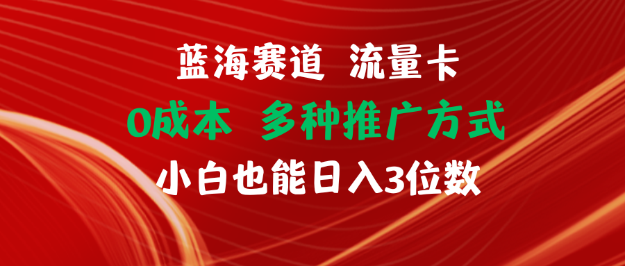 （11768期）蓝海赛道 流量卡 0成本 小白也能日入三位数-中创项目网