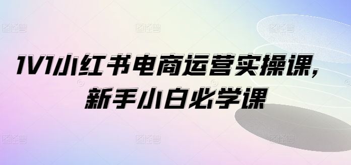 1V1小红书电商运营实操课，新手小白必学课-中创项目网