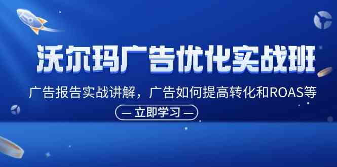 沃尔玛广告优化实战班，广告报告实战讲解，广告如何提高转化和ROAS等-中创项目网