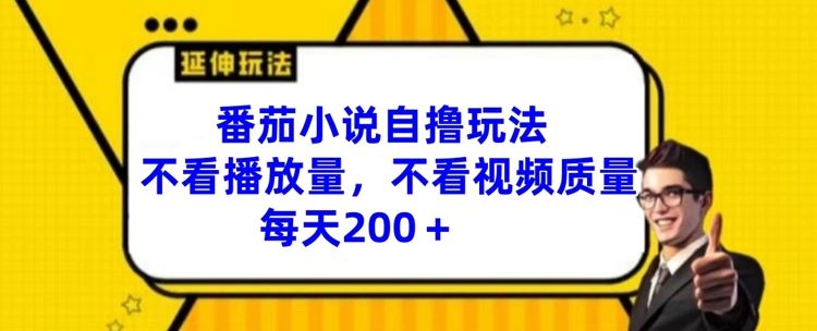番茄小说自撸玩法，不看播放量，不看视频质量，每天200+【揭秘】-中创项目网