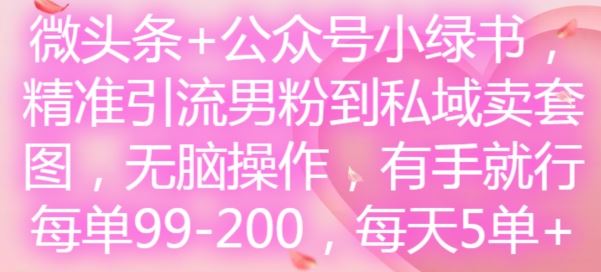 微头条+公众号小绿书，精准引流男粉到私域卖套图，无脑操作，有手就行，每单99-200，每天5单-中创项目网