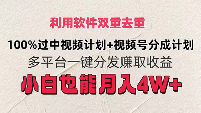 （11862期）利用软件双重去重，100%过中视频+视频号分成计划小白也可以月入4W+-中创项目网
