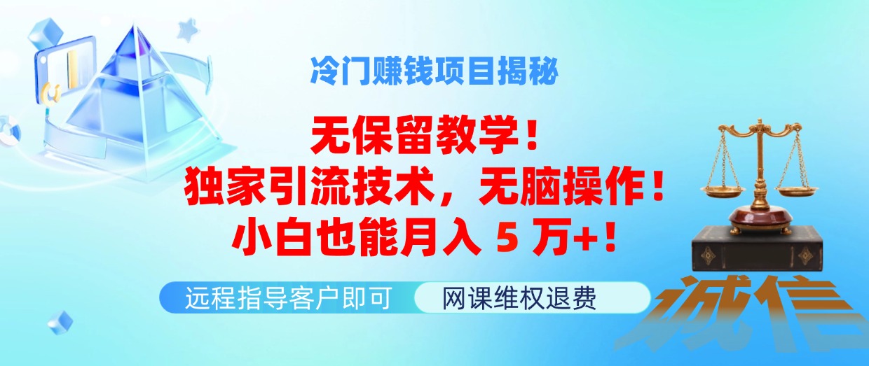 （11864期）冷门赚钱项目无保留教学！独家引流技术，无脑操作！小白也能月入5万+！-中创项目网