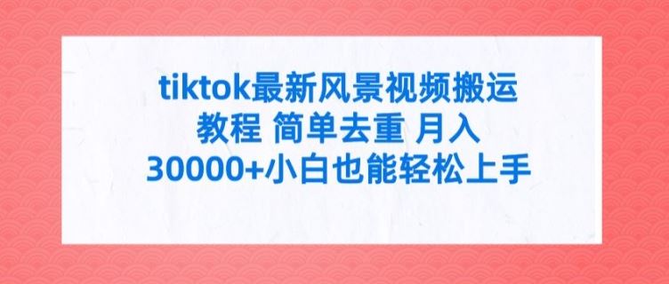 tiktok最新风景视频搬运教程 简单去重 月入3W+小白也能轻松上手【揭秘】-中创项目网