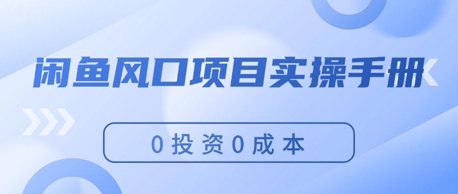 （11923期）闲鱼风口项目实操手册，0投资0成本，让你做到，月入过万，新手可做-中创项目网