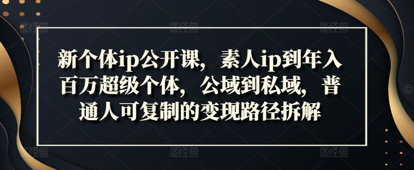 新个体ip公开课，素人ip到年入百万超级个体，公域到私域，普通人可复制的变现路径拆解-中创项目网
