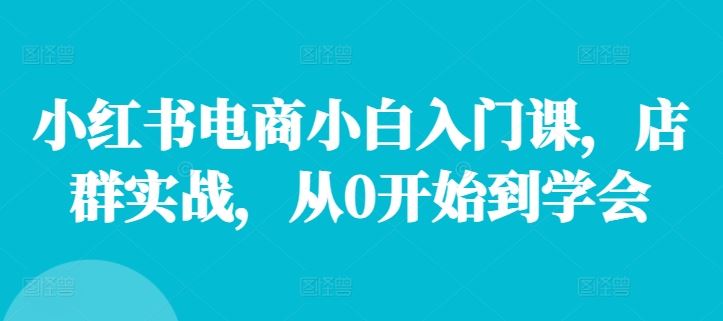 小红书电商小白入门课，店群实战，从0开始到学会-中创项目网