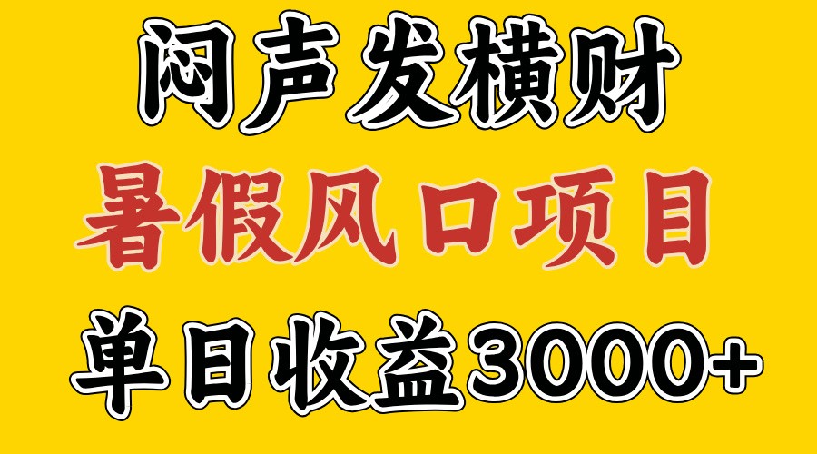 30天赚了7.5W 暑假风口项目，比较好学，2天左右上手-中创项目网