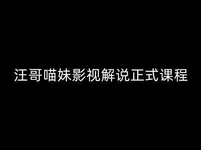汪哥影视解说正式课程：剪映/PR教学/视解说剪辑5大黄金法则/全流程剪辑7把利器等等-中创项目网