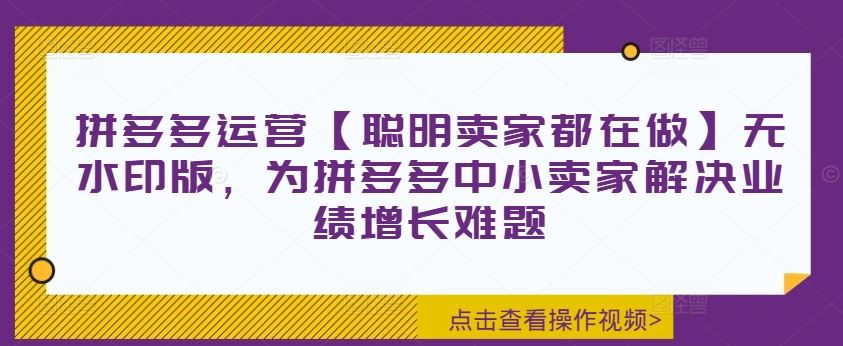 拼多多运营【聪明卖家都在做】无水印版，为拼多多中小卖家解决业绩增长难题-中创项目网