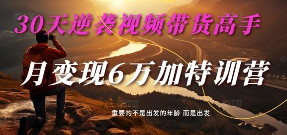 30天逆袭视频带货高手，单月变现6万加特训营-麦子甜-中创项目网