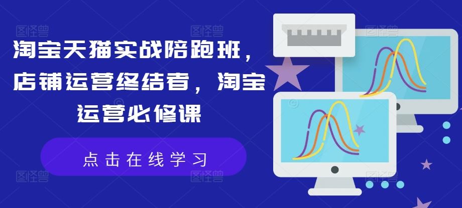 淘宝天猫实战陪跑班，店铺运营终结者，淘宝运营必修课-中创项目网