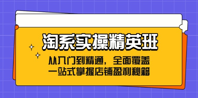（12276期）淘系实操精英班：从入门到精通，全面覆盖，一站式掌握店铺盈利秘籍-中创项目网
