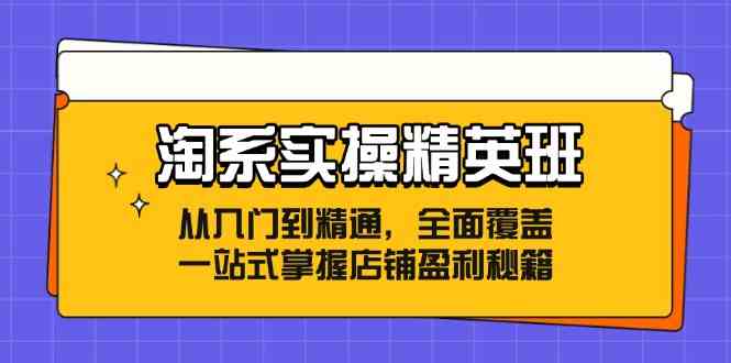 淘系实操精英班：从入门到精通，全面覆盖，一站式掌握店铺盈利秘籍-中创项目网