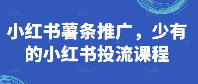 小红书薯条推广，少有的小红书投流课程-中创项目网