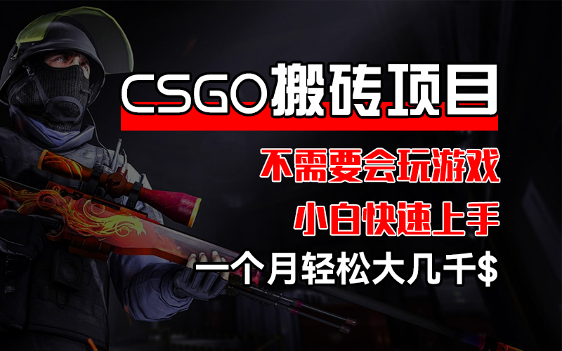（12332期）CSGO 装备搬砖项目，操作简单，不需要会玩游戏，小白也能快速上手，一…-中创项目网