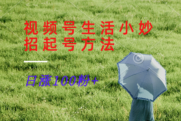 视频号生活小妙招分享赛道， 起号涨粉新方法，日涨100粉-中创项目网