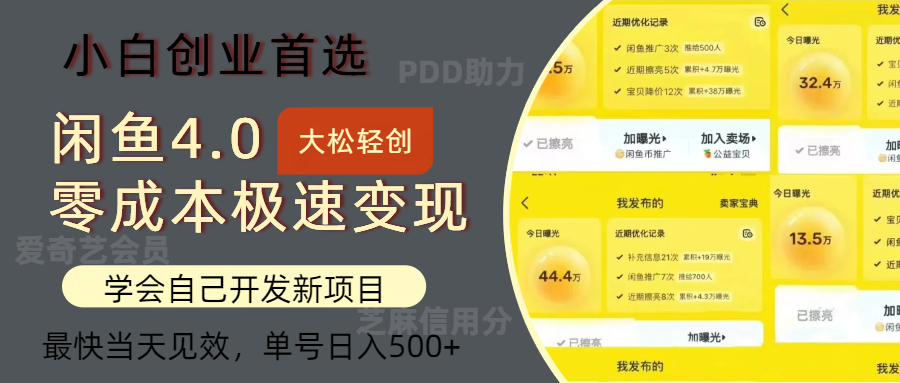 （12434期）闲鱼0成本极速变现项目，多种变现方式 单号日入500+最新玩法-中创项目网