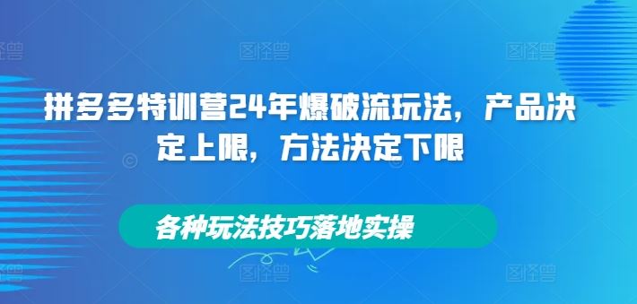 拼多多特训营24年爆破流玩法，产品决定上限，方法决定下限，各种玩法技巧落地实操-中创项目网