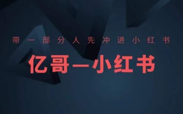 ​​带一部分人先冲进小红书，小红书开店、选品、爆款裂变-中创项目网