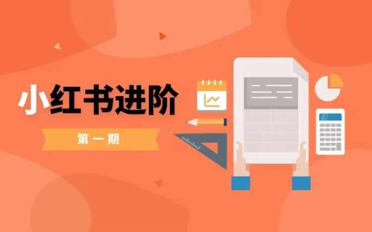 小红书进阶篇，零基础小白实战课，普通人变现的课程-中创项目网