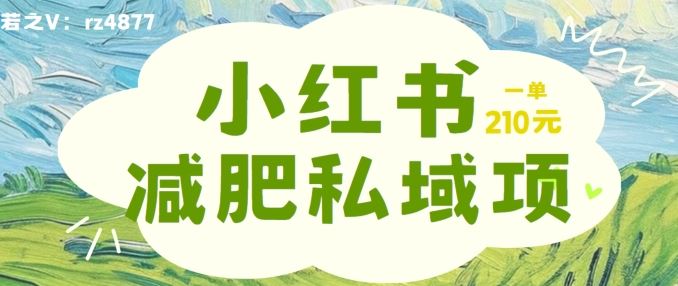 小红书减肥粉，私域变现项目，一单就达210元，小白也能轻松上手【揭秘】-中创项目网