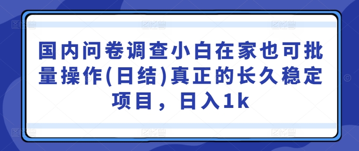 国内问卷调查小白在家也可批量操作(日结)真正的长久稳定项目，日入1k【揭秘】-中创项目网