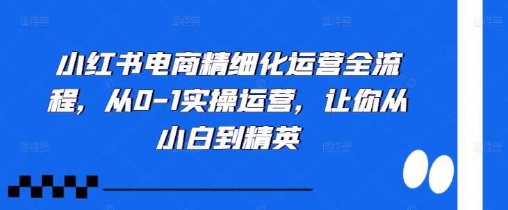 小红书电商精细化运营全流程，从0-1实操运营，让你从小白到精英-中创项目网