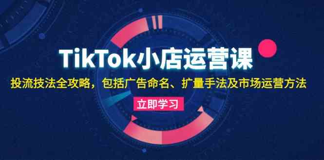 TikTok小店运营课：投流技法全攻略，包括广告命名 扩量手法及市场运营方法-中创项目网