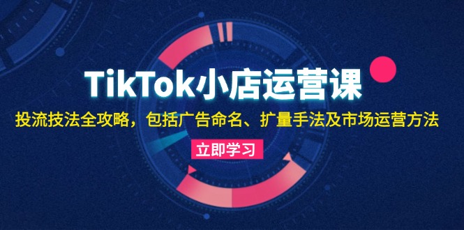 （13063期）TikTok小店运营课：投流技法全攻略，包括广告命名 扩量手法及市场运营方法-中创项目网