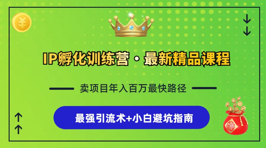 （13055期）IP孵化训练营，知识付费全流程+最强引流术+小白避坑指南-中创项目网