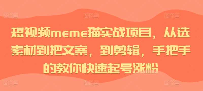短视频meme猫实战项目，从选素材到把文案，到剪辑，手把手的教你快速起号涨粉-中创项目网