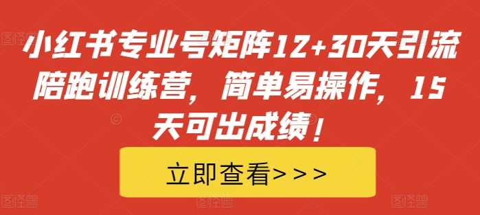 小红书专业号矩阵12+30天引流陪跑训练营，简单易操作，15天可出成绩!-中创项目网