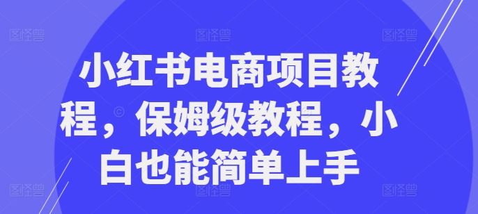 小红书电商项目教程，保姆级教程，小白也能简单上手-中创项目网