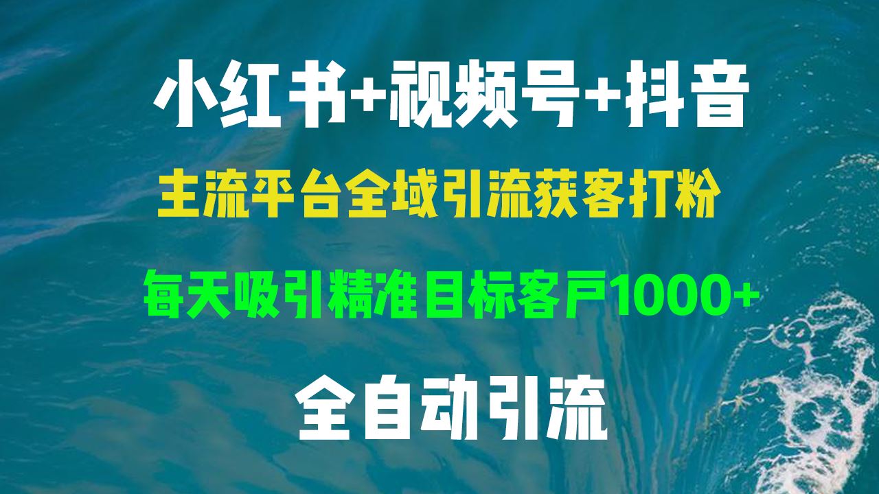 （13104期）小红书，视频号，抖音主流平台全域引流获客打粉，每天吸引精准目标客户…-中创项目网