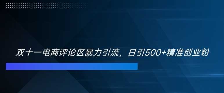 双十一电商评论区暴力引流，日引500+精准创业粉【揭秘】-中创项目网
