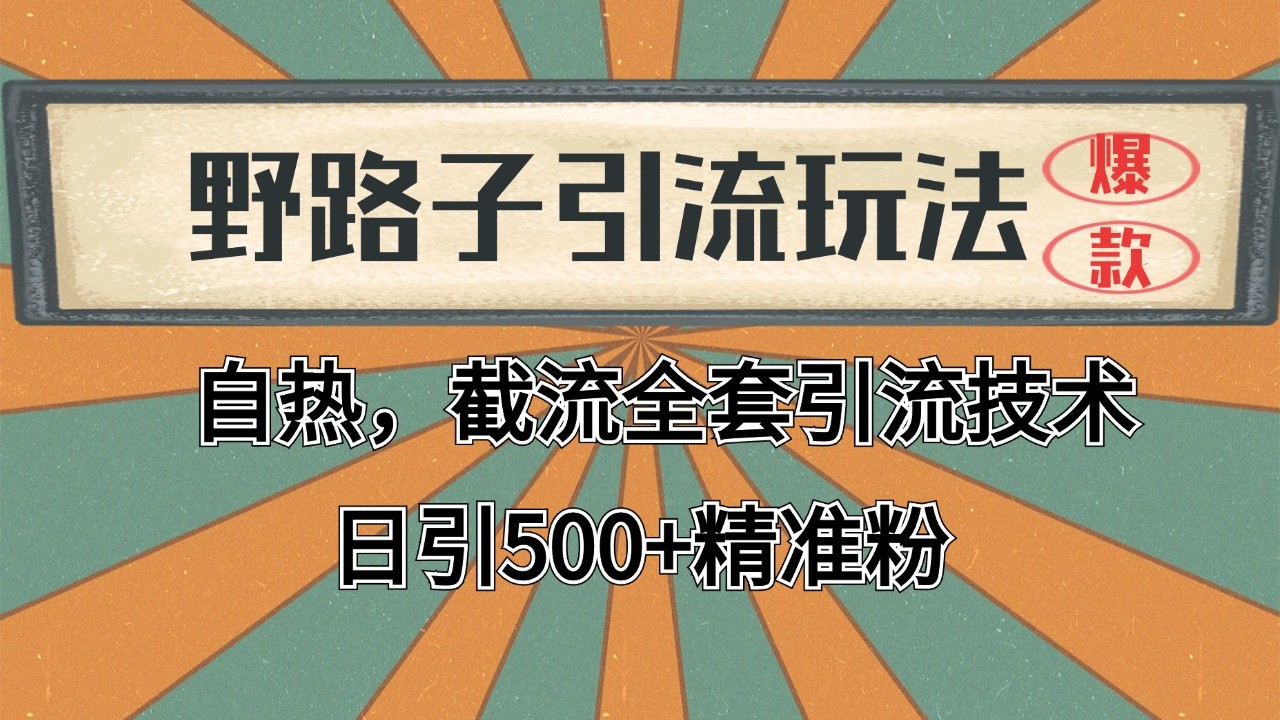 抖音小红书视频号全平台引流打法，全自动引流日引2000+精准客户-中创项目网