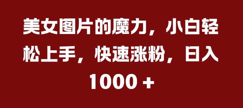 美女图片的魔力，小白轻松上手，快速涨粉，日入几张【揭秘】-中创项目网