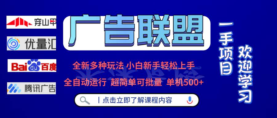 （13258期）广告联盟 全新多种玩法 单机500+  全自动运行  可批量运行-中创项目网