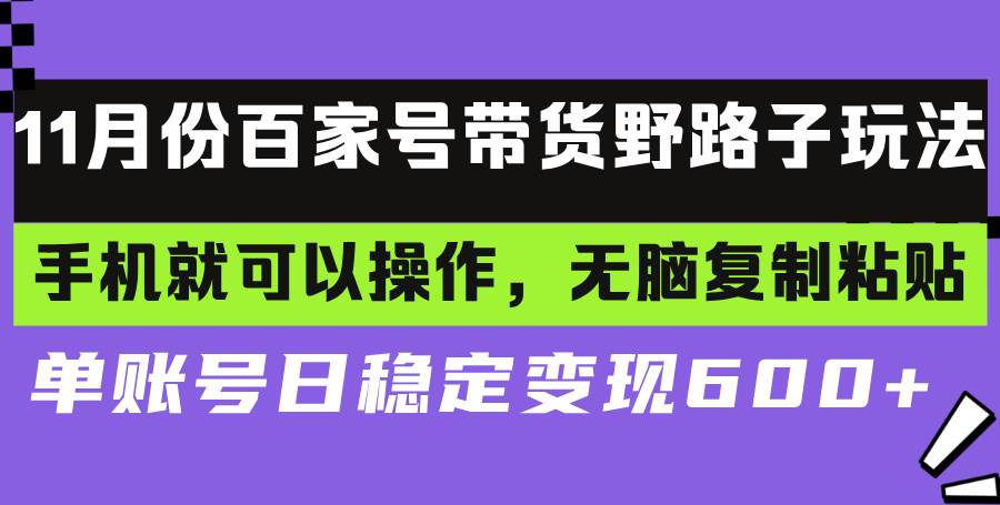 （13281期）百家号带货野路子玩法 手机就可以操作，无脑复制粘贴 单账号日稳定变现…-中创项目网