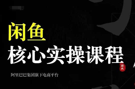 2024闲鱼核心实操课程，从养号、选品、发布、销售，教你做一个出单的闲鱼号-中创项目网