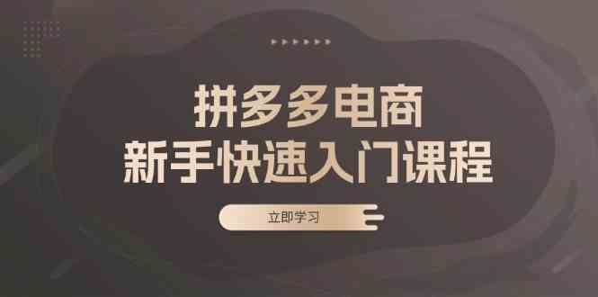 拼多多电商新手快速入门课程：涵盖基础、实战与选款，助力小白轻松上手-中创项目网
