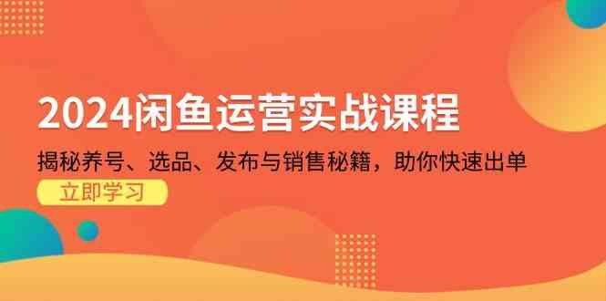 2024闲鱼运营实战课程：揭秘养号、选品、发布与销售秘籍，助你快速出单-中创项目网
