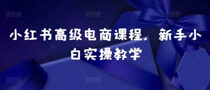 小红书高级电商课程，新手小白实操教学-中创项目网