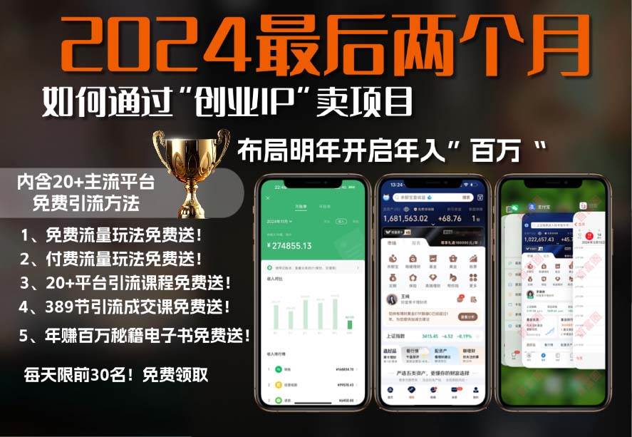 （13322期）2024最后两个月如何通过”创业IP“卖项目年入”百万“,创业IP+最强引流…-中创项目网