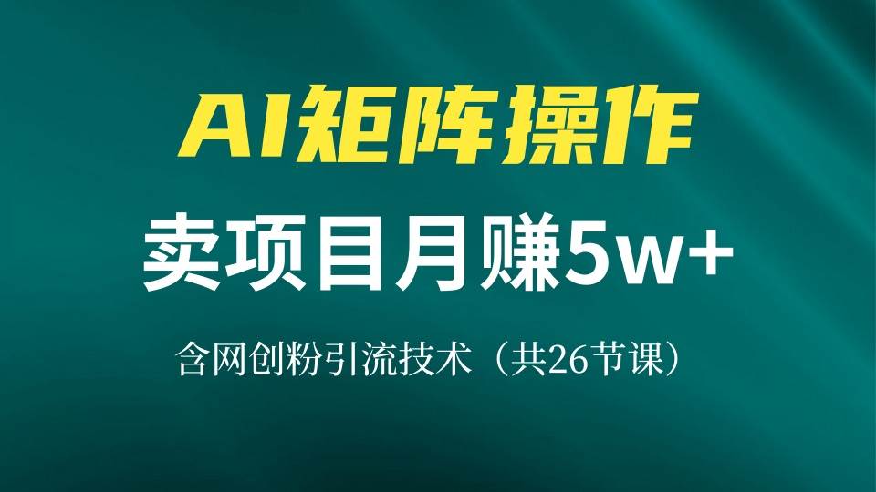 （13335期）网创IP打造课，借助AI卖项目月赚5万+，含引流技术（共26节课）-中创项目网