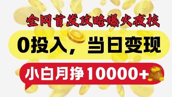 全网首发爆火夜校，0投入，当日变现，小白轻松月入1w+【揭秘】-中创项目网