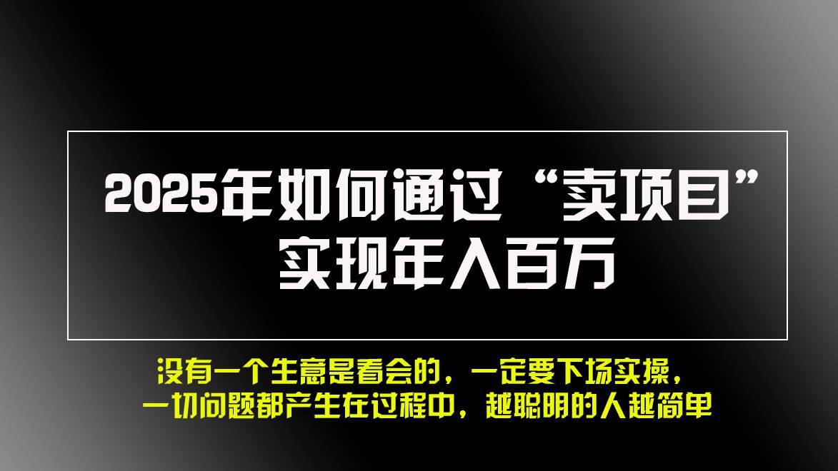 （13468期）2025年如何通过“卖项目”实现年入百万，做网赚必看！！-中创项目网